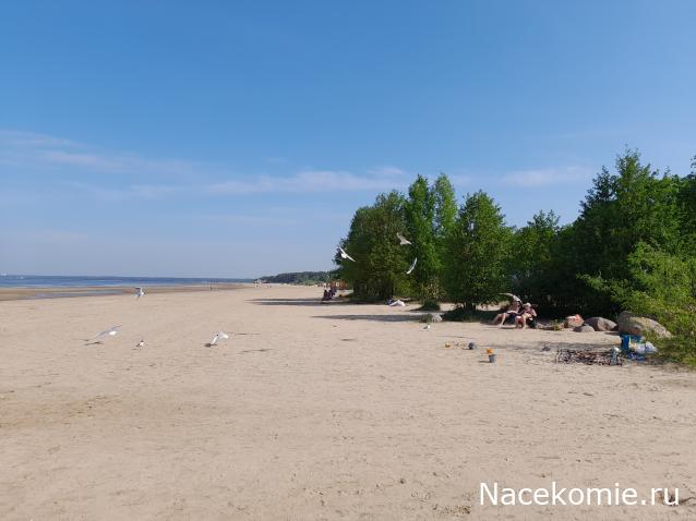 Тракторная болталка