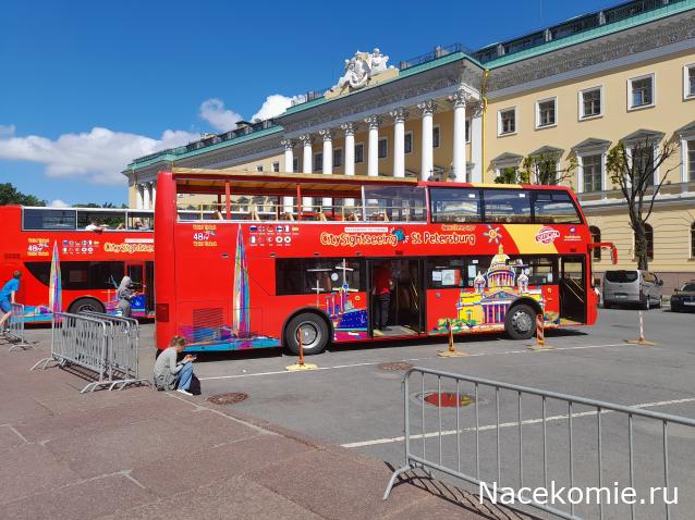 Околоавтобусная болталка