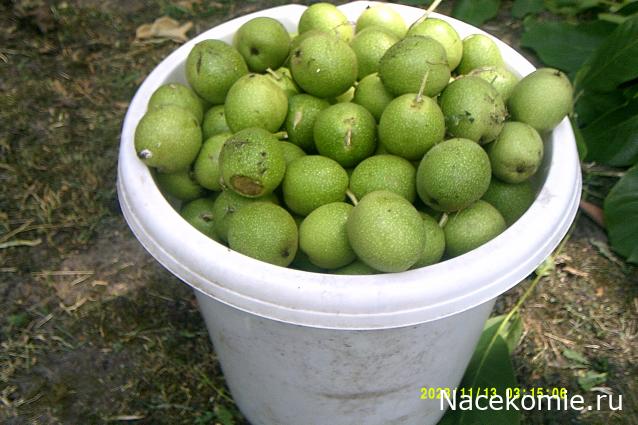 Eva1949 - Дом мечты-души моей воспоминания; 1Abrikoska - Мой гостеприимный дом