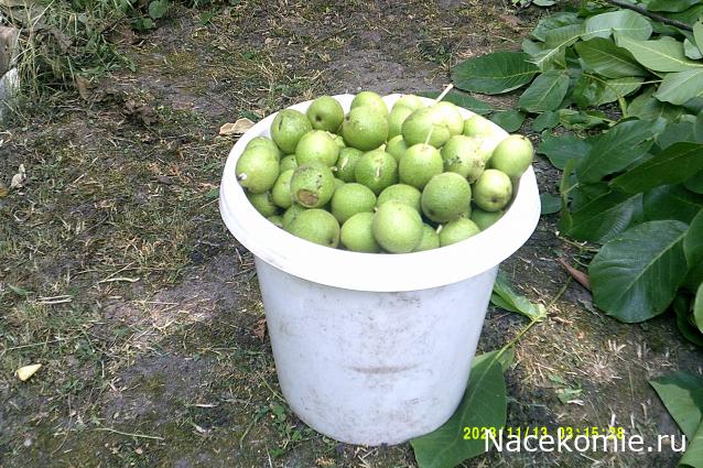 Eva1949 - Дом мечты-души моей воспоминания; 1Abrikoska - Мой гостеприимный дом