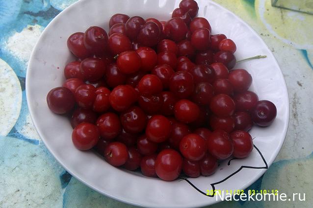 Eva1949 - Дом мечты-души моей воспоминания; 1Abrikoska - Мой гостеприимный дом