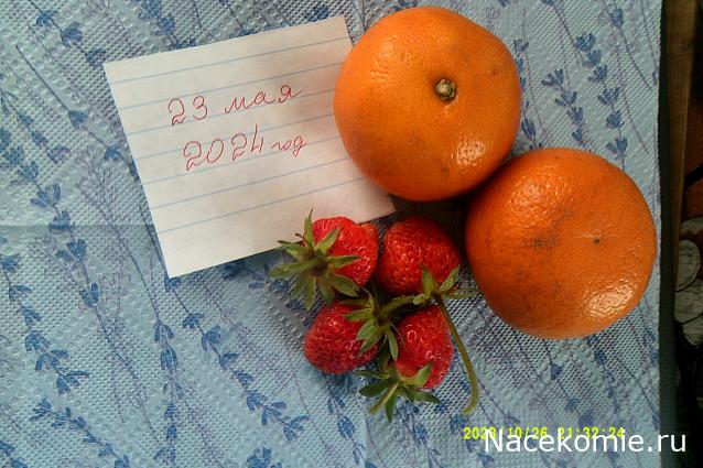 Eva1949 - Дом мечты-души моей воспоминания; 1Abrikoska - Мой гостеприимный дом