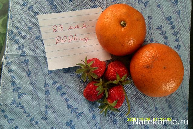 Eva1949 - Дом мечты-души моей воспоминания; 1Abrikoska - Мой гостеприимный дом