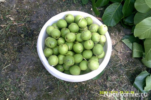 Eva1949 - Дом мечты-души моей воспоминания; 1Abrikoska - Мой гостеприимный дом