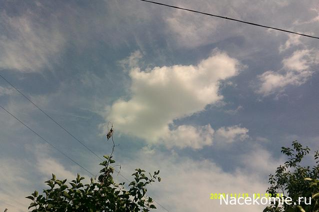 Eva1949 - Дом мечты-души моей воспоминания; 1Abrikoska - Мой гостеприимный дом