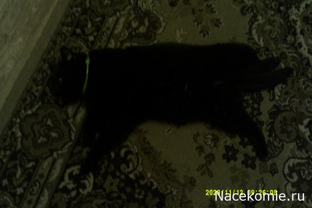 Eva1949 - Дом мечты-души моей воспоминания; 1Abrikoska - Мой гостеприимный дом