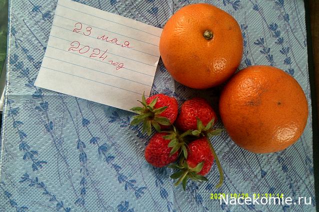 Eva1949 - Дом мечты-души моей воспоминания; 1Abrikoska - Мой гостеприимный дом