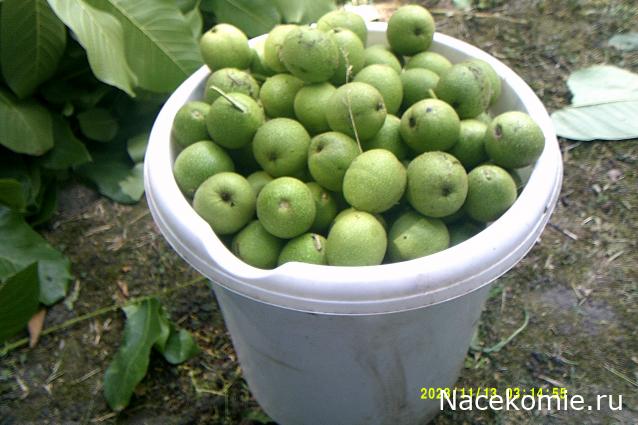 Eva1949 - Дом мечты-души моей воспоминания; 1Abrikoska - Мой гостеприимный дом