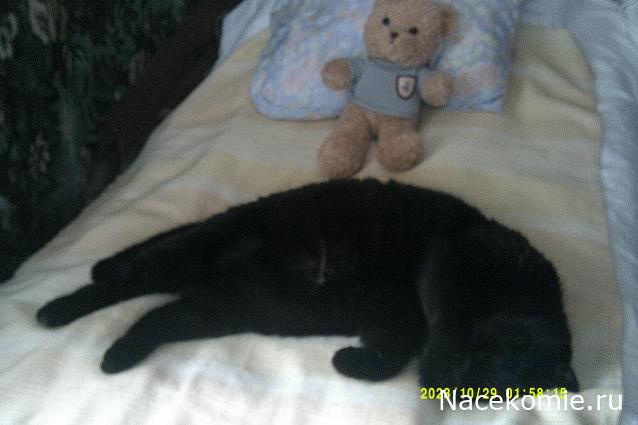 Eva1949 - Дом мечты-души моей воспоминания; 1Abrikoska - Мой гостеприимный дом