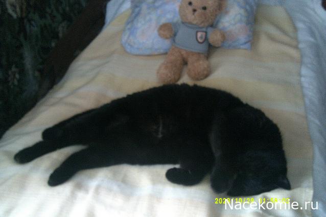 Eva1949 - Дом мечты-души моей воспоминания; 1Abrikoska - Мой гостеприимный дом