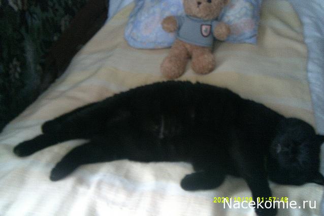 Eva1949 - Дом мечты-души моей воспоминания; 1Abrikoska - Мой гостеприимный дом