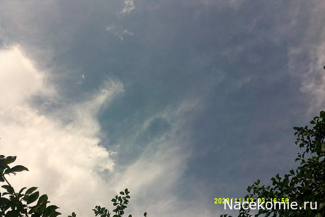 Eva1949 - Дом мечты-души моей воспоминания; 1Abrikoska - Мой гостеприимный дом