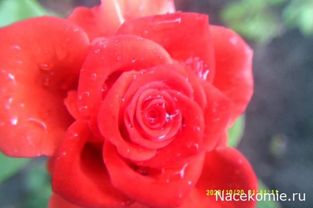 Eva1949 - Дом мечты-души моей воспоминания; 1Abrikoska - Мой гостеприимный дом