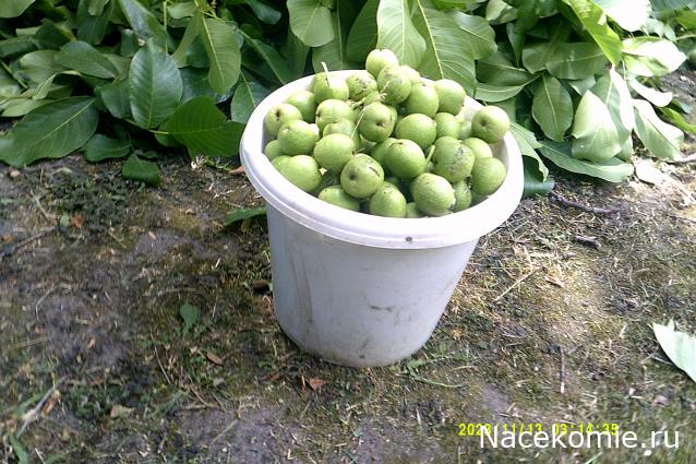 Eva1949 - Дом мечты-души моей воспоминания; 1Abrikoska - Мой гостеприимный дом