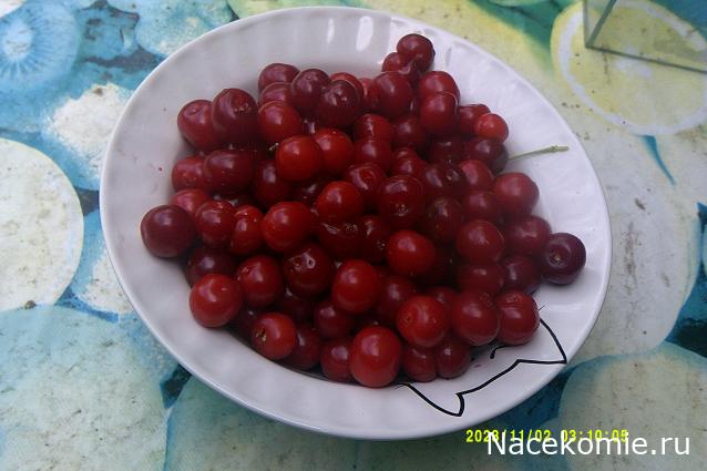 Eva1949 - Дом мечты-души моей воспоминания; 1Abrikoska - Мой гостеприимный дом