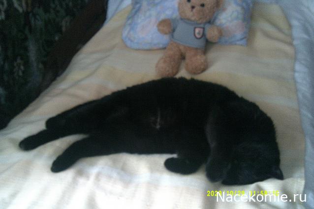 Eva1949 - Дом мечты-души моей воспоминания; 1Abrikoska - Мой гостеприимный дом