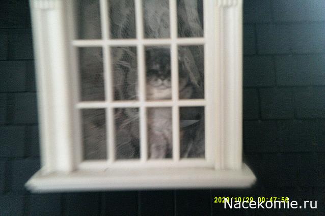 Eva1949 - Дом мечты-души моей воспоминания; 1Abrikoska - Мой гостеприимный дом