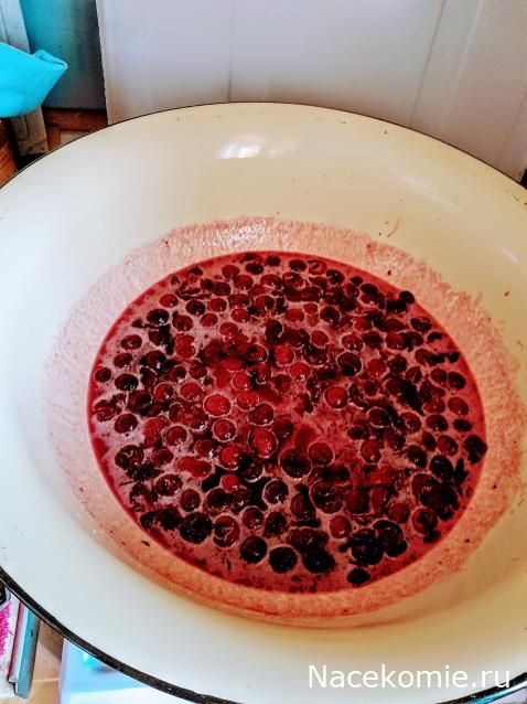 Liana65-Snegana - Мой будущий дом и его обитатели.