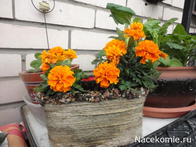 LanaF - Мои домики