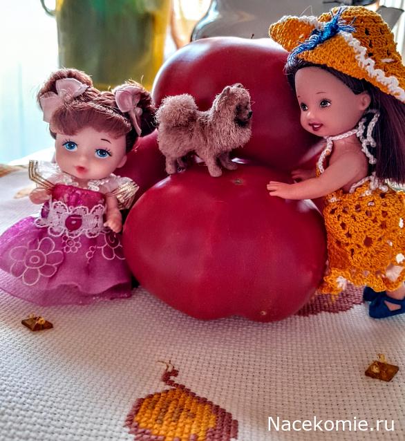 Liana65-Snegana - Мой будущий дом и его обитатели.