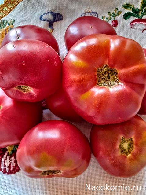 Liana65-Snegana - Мой будущий дом и его обитатели.