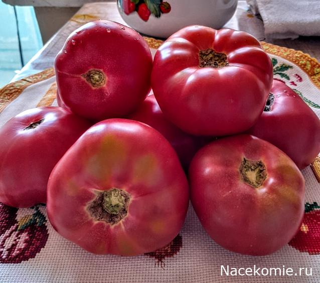 Liana65-Snegana - Мой будущий дом и его обитатели.