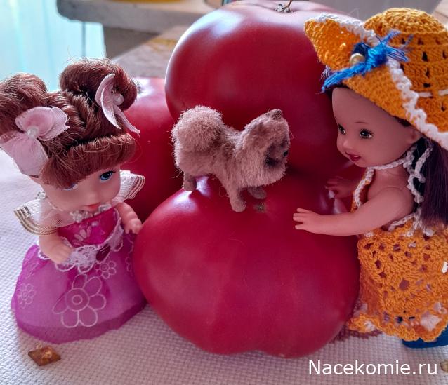 Liana65-Snegana - Мой будущий дом и его обитатели.