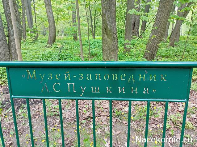 Железная Дорога в Миниатюре - Болталка
