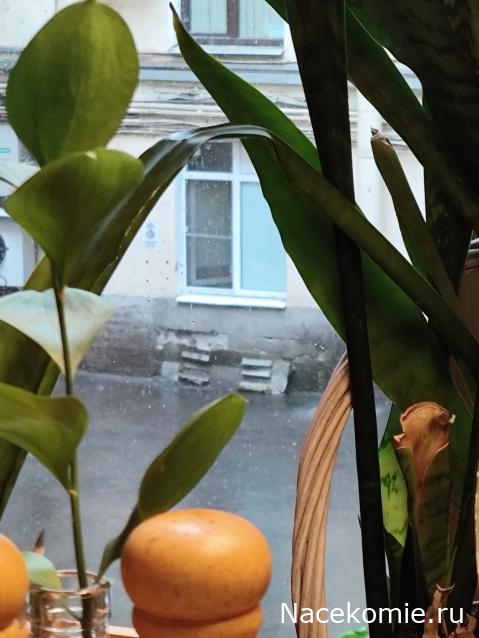 Кулинарный отдел