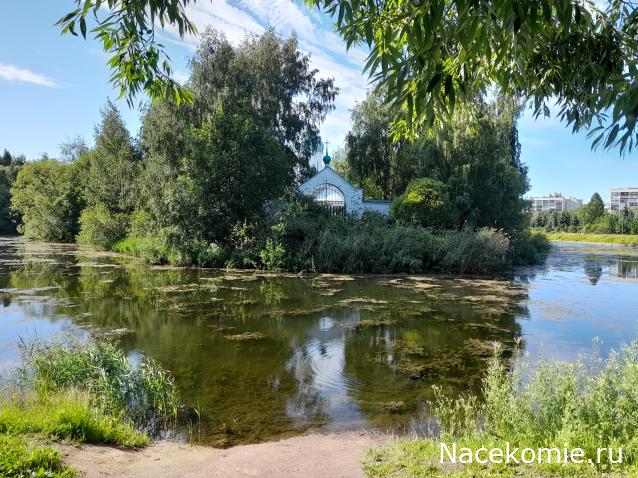 Тракторная болталка