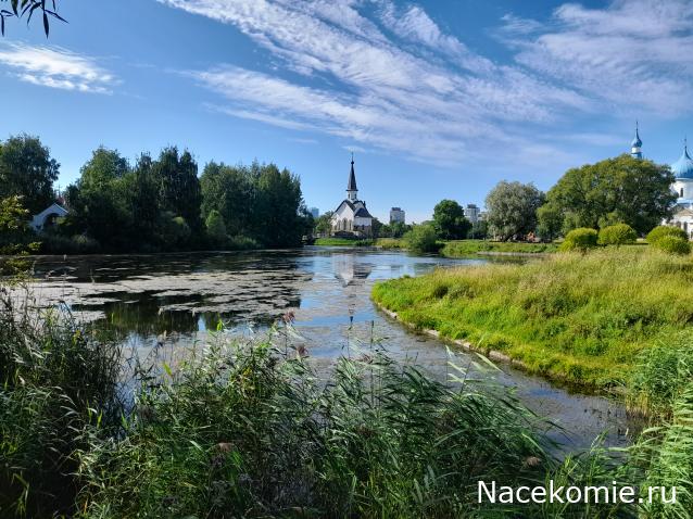 Тракторная болталка