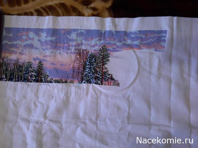 100 крестиков!