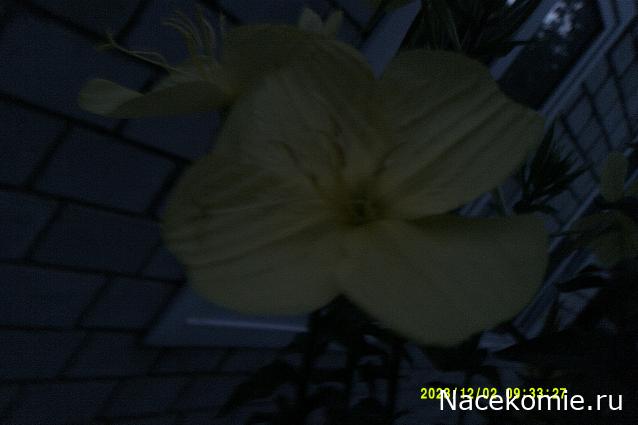 Eva1949 - Дом мечты-души моей воспоминания; 1Abrikoska - Мой гостеприимный дом