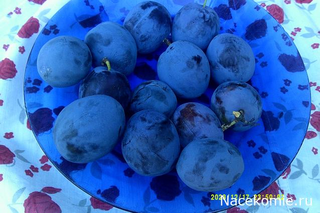 Eva1949 - Дом мечты-души моей воспоминания; 1Abrikoska - Мой гостеприимный дом