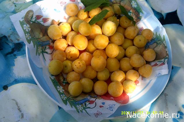 Eva1949 - Дом мечты-души моей воспоминания; 1Abrikoska - Мой гостеприимный дом