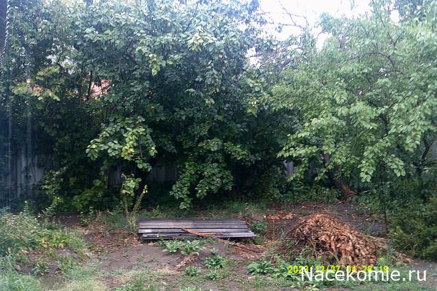 Eva1949 - Дом мечты-души моей воспоминания; 1Abrikoska - Мой гостеприимный дом