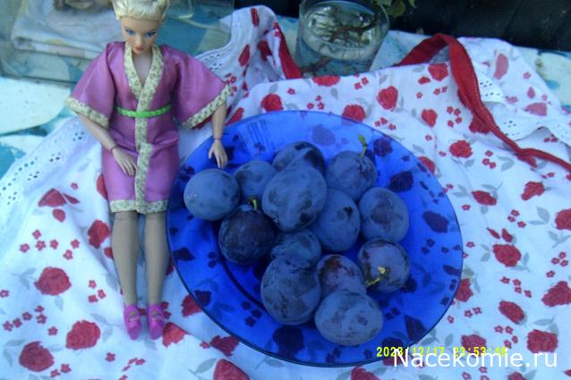 Eva1949 - Дом мечты-души моей воспоминания; 1Abrikoska - Мой гостеприимный дом