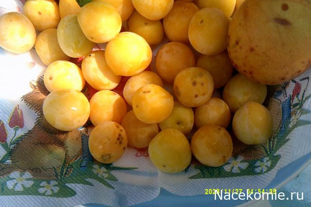 Eva1949 - Дом мечты-души моей воспоминания; 1Abrikoska - Мой гостеприимный дом