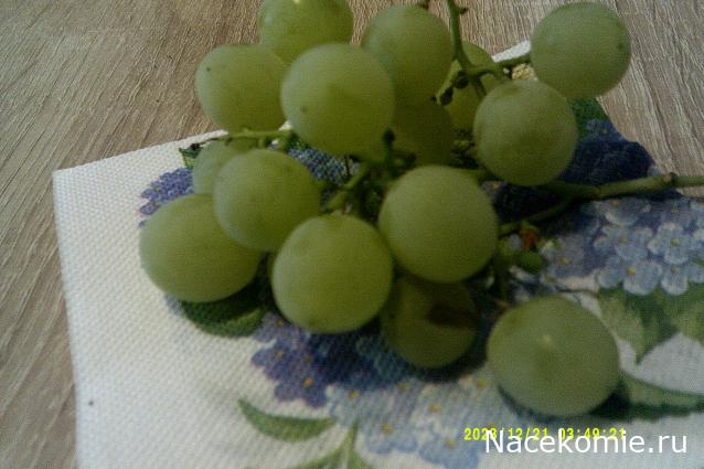 Eva1949 - Дом мечты-души моей воспоминания; 1Abrikoska - Мой гостеприимный дом