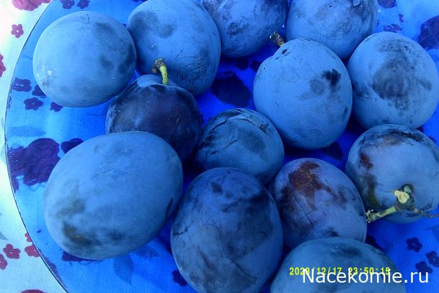 Eva1949 - Дом мечты-души моей воспоминания; 1Abrikoska - Мой гостеприимный дом