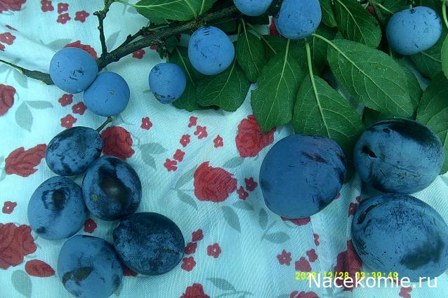 Eva1949 - Дом мечты-души моей воспоминания; 1Abrikoska - Мой гостеприимный дом