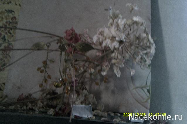 Eva1949 - Дом мечты-души моей воспоминания; 1Abrikoska - Мой гостеприимный дом