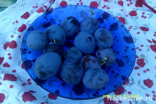 Eva1949 - Дом мечты-души моей воспоминания; 1Abrikoska - Мой гостеприимный дом