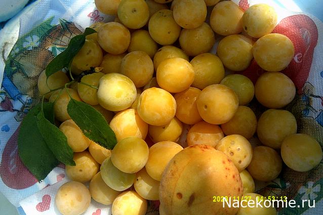 Eva1949 - Дом мечты-души моей воспоминания; 1Abrikoska - Мой гостеприимный дом