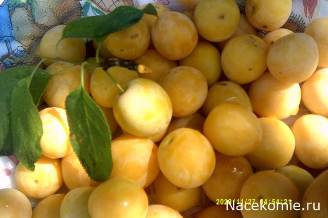 Eva1949 - Дом мечты-души моей воспоминания; 1Abrikoska - Мой гостеприимный дом