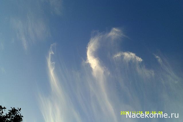 Eva1949 - Дом мечты-души моей воспоминания; 1Abrikoska - Мой гостеприимный дом