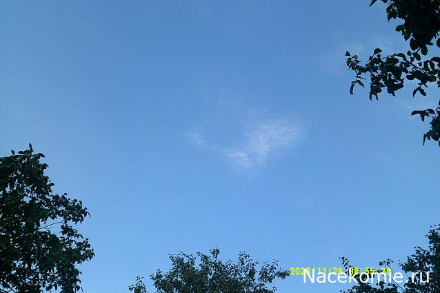 Eva1949 - Дом мечты-души моей воспоминания; 1Abrikoska - Мой гостеприимный дом