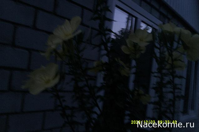 Eva1949 - Дом мечты-души моей воспоминания; 1Abrikoska - Мой гостеприимный дом