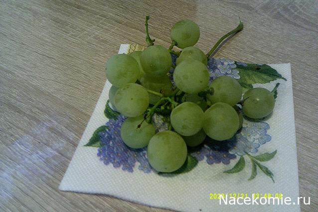 Eva1949 - Дом мечты-души моей воспоминания; 1Abrikoska - Мой гостеприимный дом