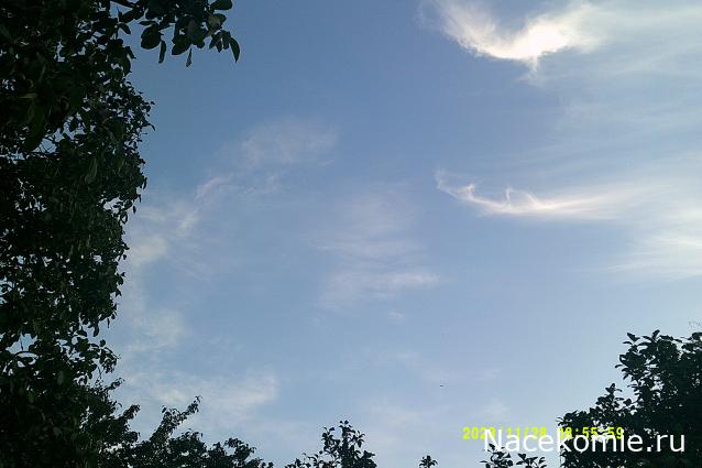 Eva1949 - Дом мечты-души моей воспоминания; 1Abrikoska - Мой гостеприимный дом